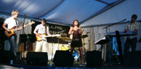 Malm&ouml;festivalen 2005